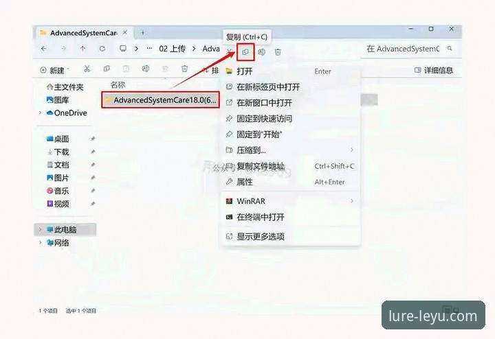 乐鱼体育平台安全入口iOS版深度解析：从下载到安装的全流程指南